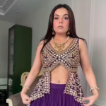 New Women's Lunch Boutiqe Collection Ready to Ware Lehenga choli